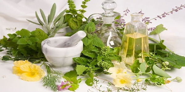 تصویر 3 از قیمت خرید عرق گیاهی پامچال + فروش ویژه